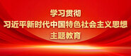 男女精品操屄学习贯彻习近平新时代中国特色社会主义思想主题教育_fororder_ad-371X160(2)